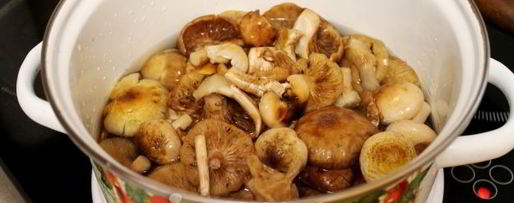 Шаг 5: засолки опят на зиму горячим способом в банках