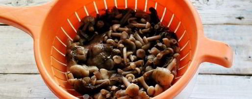 Шаг 6: засолки опят на зиму горячим способом в банках