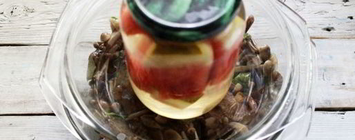 Шаг 9: засолки опят на зиму горячим способом в банках