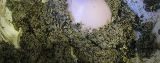 Шаг 3: брускетты с кремом из маслин и помидорами