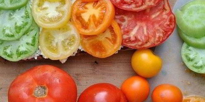 Рецепт брускетты с помидорами и творожной намазкой из базилика