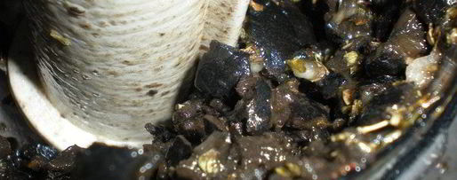 Шаг 1: оливковой брускетты