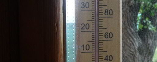 Шаг 8: бургера с курицей, омлетом и огурцом