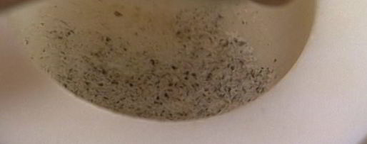 Шаг 4: детских гамбургеров с домашним кетчупом