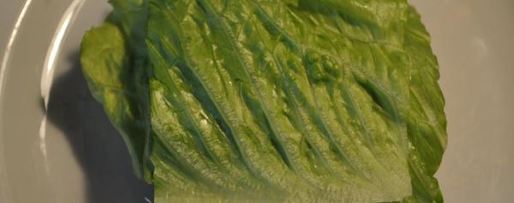 Шаг 4: полезного бургера