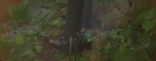 Шаг 3: рыбного гамбургера с манго-майонезом