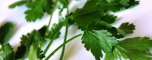 Шаг 6: буррито с ветчиной и сыром