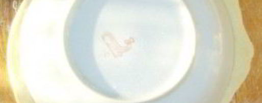 Шаг 2: чебуреков с тыквой