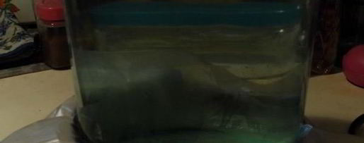 Шаг 6: домашнего сыра с зеленью