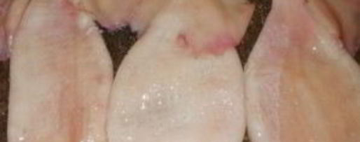 Шаг 3: фаршированного кальмара с рисом и яйцом