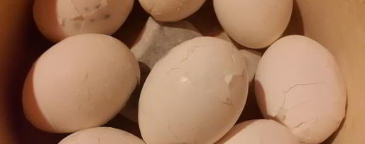 Шаг 1: фаршированных яиц с тунцом