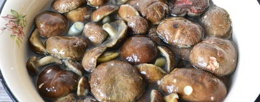 Шаг 2: икры из моховиков