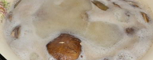 Шаг 3: икры из моховиков