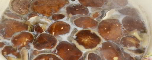 Шаг 4: икры из моховиков