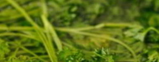 Шаг 3: икры кабачковой с овощами