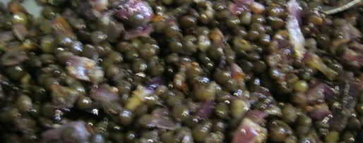 Шаг 7: канапе с черной чечевицей фуршетные