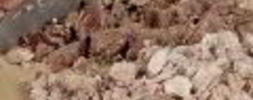 Шаг 1: холодца из свинины и телятины