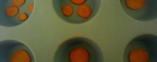 Шаг 9: холодец из свинины