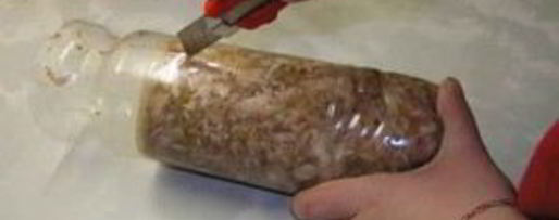 Шаг 3: куриного холодца в бутылке