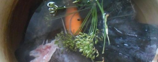 Шаг 1: студня холодец из рыбы