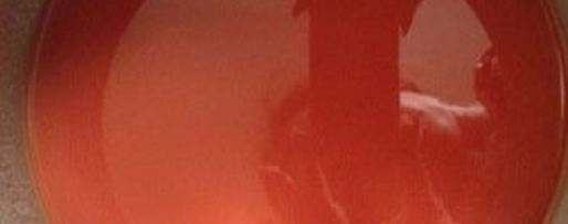 Шаг 3: томатного холодца с белой рыбой