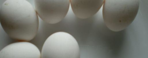 Шаг 7: кюкю-лявянгов