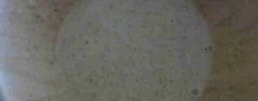 Шаг 2: омлета по-грузински