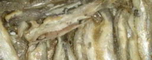 Шаг 1: омлета рыбного