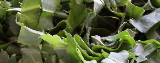 Шаг 4: омлета со щавелем