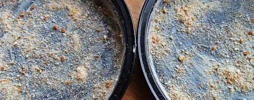 Шаг 8: омлетов с гречкой и маслинами