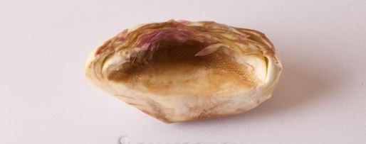 Шаг 4: паштета из артишоков