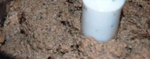 Шаг 3: паштета из куриной печени с грибами