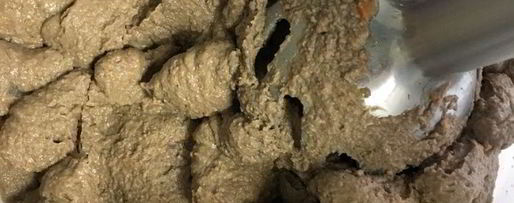 Шаг 8: паштета из печени кролика с каштанами