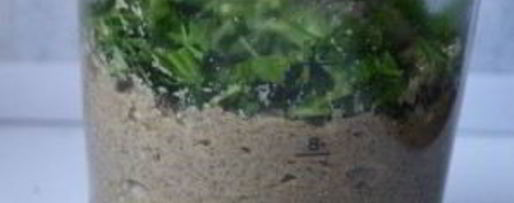 Шаг 6: паштета из шампиньонов