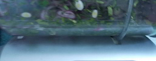 Шаг 3: пятнашек из маринованного мяса с зеленым горошком