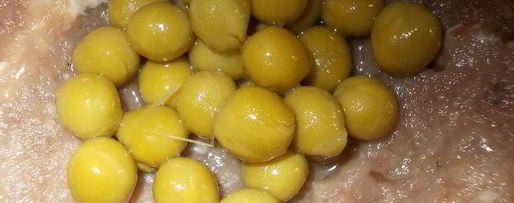 Шаг 5: пятнашек из маринованного мяса с зеленым горошком