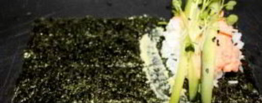 Шаг 4: ролла с угрем