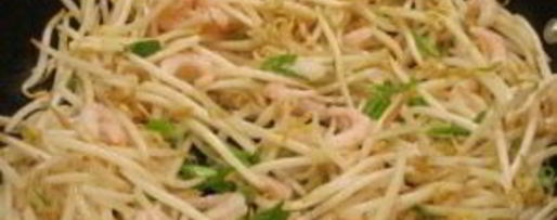 Шаг 4: спринга роллы