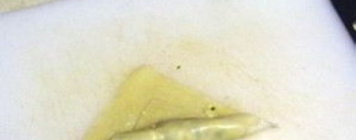 Шаг 4: туна тун — тайских яичных роллов