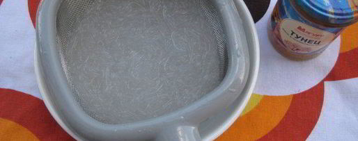 Шаг 1: весенних роллов с тунцом