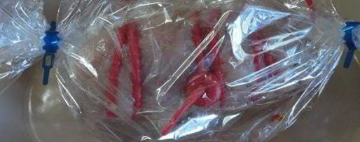 Шаг 4: куриного рулета с паприкой