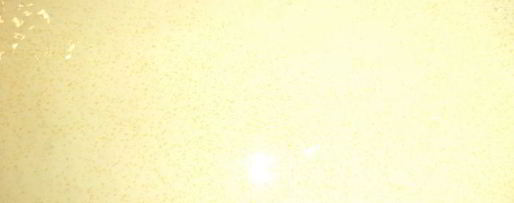 Шаг 3: рулета из бисквитно-тыквенного теста с творожной начинкой