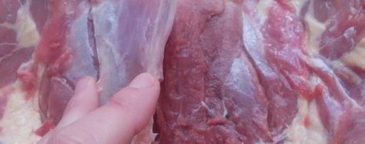 Шаг 6: рулета из утки с финиками и орехами