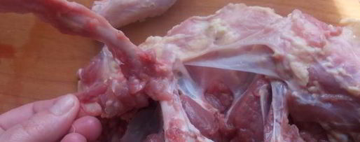 Шаг 8: рулета из утки с финиками и орехами