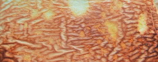 Шаг 12: рулета с творогом и черникой