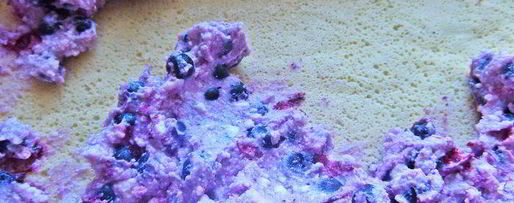 Шаг 20: рулета с творогом и черникой