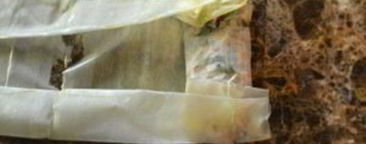 Шаг 11: рулетиков из теста фило