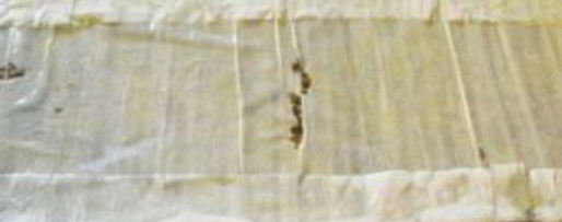 Шаг 8: рулетиков из теста фило