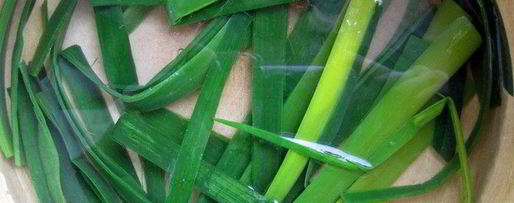 Шаг 8: рулетов из камбалы на циновке из порея