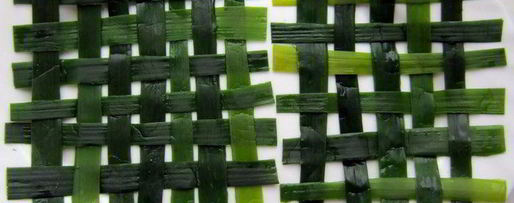 Шаг 9: рулетов из камбалы на циновке из порея